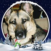 Foto von LM Polcyn