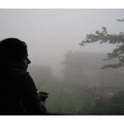 Foto von Neha Sitole