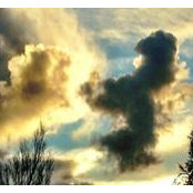Foto von Rachel Voon