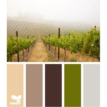 Color Inspiration