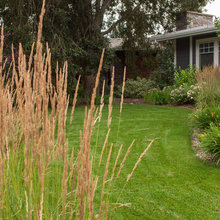 Landscape Ideas
