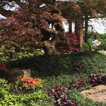 Jules Zen Garden 2018 Best in Show NZ Flower & Garden Show