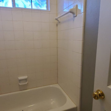 Guest Bathroom - 1