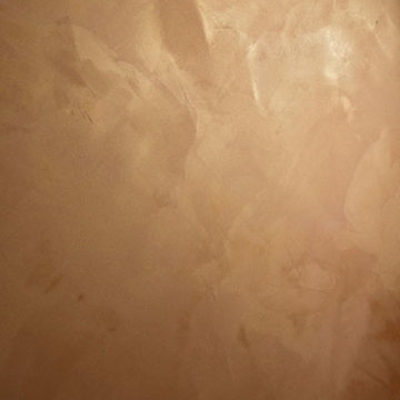 Metallic Plasters in Naples Florida