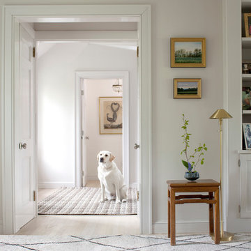 Dash & Albert Rugs
