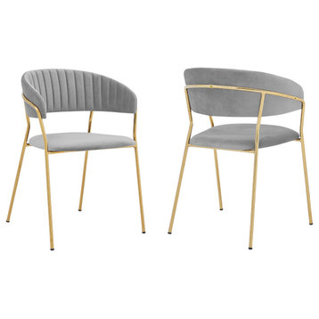 Nara Gray Velvet and Gold Metal Leg Dining Room Chairs, Set of 2