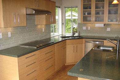 Kitchen - contemporary kitchen idea in San Francisco