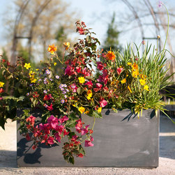 Planters - Home Decor