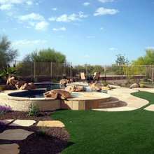 Landscape plants
