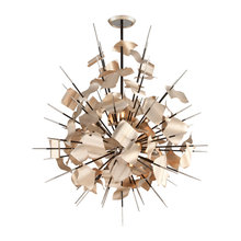 Light Fixtures