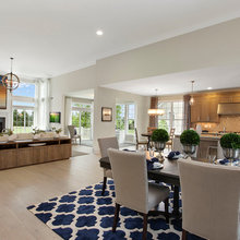 Living Room or Great Family Room