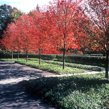 Greenwich Garden