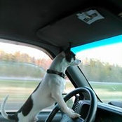 Ben Bong's photo