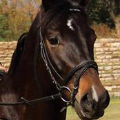 Leigh Le Roux's photo