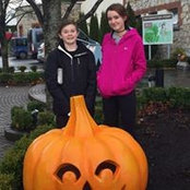 Suzanne Feighery Bergin's photo