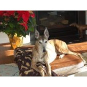 Maggie Hatfield's photo
