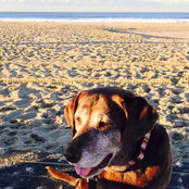 Stacy B's photo