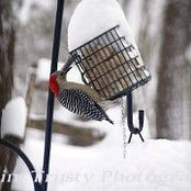 Kim Trusty's photo