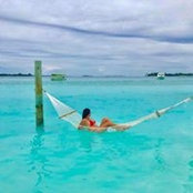Kate Golle's photo