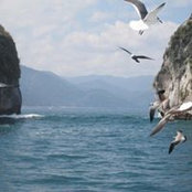 Steve Noll's photo