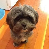 Elena Wilson's photo