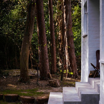 House in the Woods