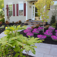 Landscape Ideas