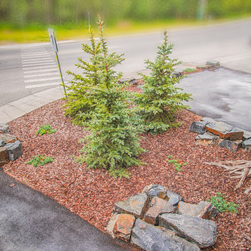 Low Maintenance Front Yard with Trees & Shrubs