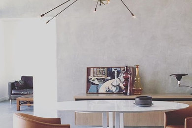 Inspiration for a modern dining room remodel in Other