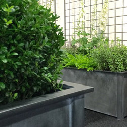 Steel Troughs &  Rectangular Planters with Trellis - Products