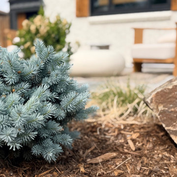 Total Indoor + Outdoor Renovation - Park Hill, CO
