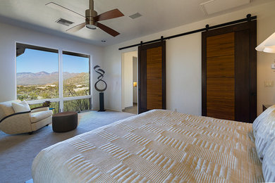 Mid-sized contemporary master bedroom in Phoenix with beige walls, carpet, no fireplace and beige floor.