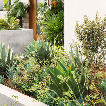 Hermosa Beach Ocean View Family Home