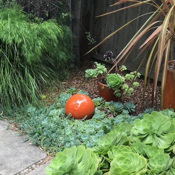Albany Dog Friendly Garden