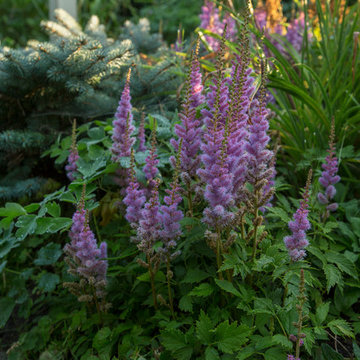 My Houzz: A Canadian Garden Is Well-Prepared for the Cold Weather Ahead
