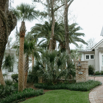 Palm Garden
