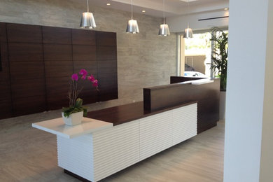 Example of a trendy entryway design in Miami