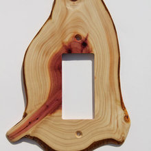 Light Switch Kevin