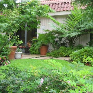 Tropical Garden