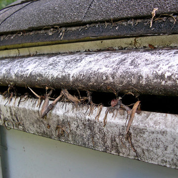 Gutter Guard Types