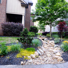 Dry Creek