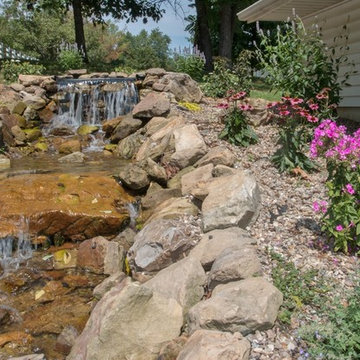 Woodland Stream & Pond