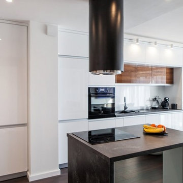 High Gloss Doors with Aluminum Integrated Handle