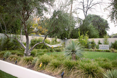 Diseño de jardín de secano minimalista de tamaño medio en primavera en patio trasero con exposición total al sol, adoquines de hormigón y con madera