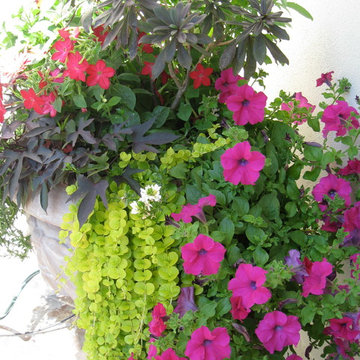 Container Gardening