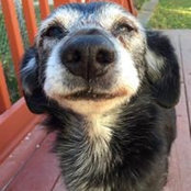Noreen Joyce's photo