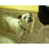 Katrina Miller's photo