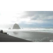 Tamara Brettmann's photo