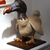 David Lindsay's photo