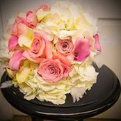 Heidi Rossiter's photo